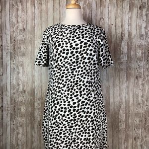 Ann Taylor White Black Tan Spot Shift Dress